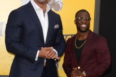 Central Intelligence Los Angeles Premiere USA - Central Intelligence Los Angeles Premiere - Westwood/ImageCollect